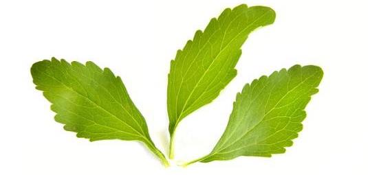Stevia Extract