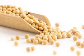 product-270-180 product-270-180