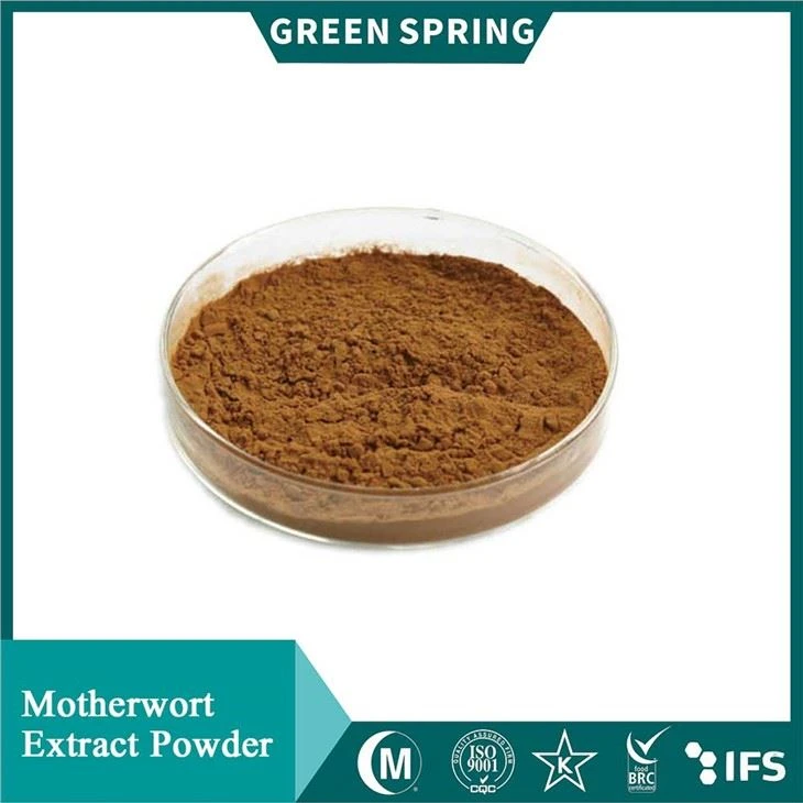 Motherwort kivonat por